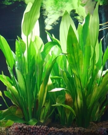 Artificial Aquarium Water Plant Grass – Plastic Landscaping Decoration