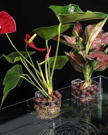 Aquarium Plant Holder with Hook – Hanging Hydroponic Plant Basket