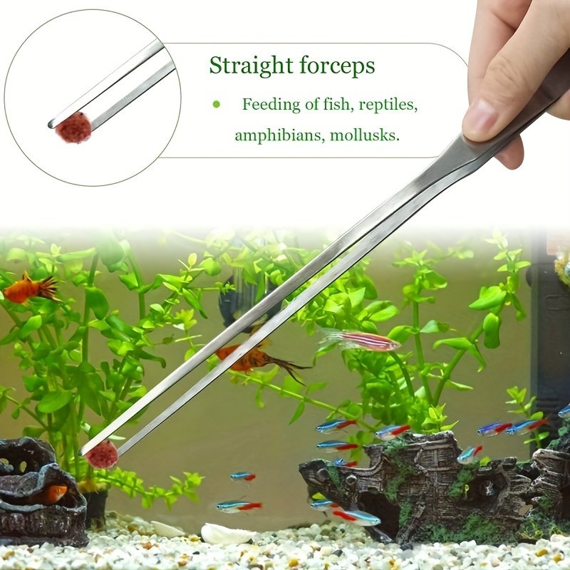 Stainless Steel Aquarium Feeding Tongs – Precision Fish Feeding Tool