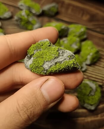 Aquarium Moss Landscaping Stone – Natural Style Decoration for Fish Tanks & Reptile Habitats
