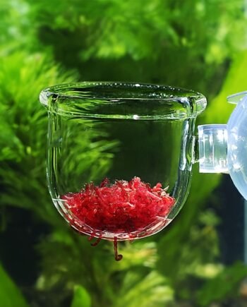 Aquarium Cone Feeder with Suction Cup – Shrimp & Fish Feeding Cup